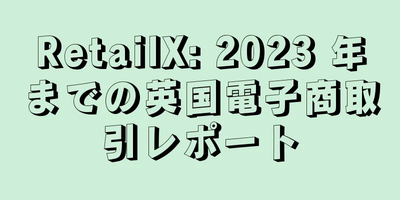 RetailX: 2023 年までの英国電子商取引レポート