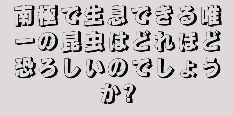 南極で生息できる唯一の昆虫はどれほど恐ろしいのでしょうか?