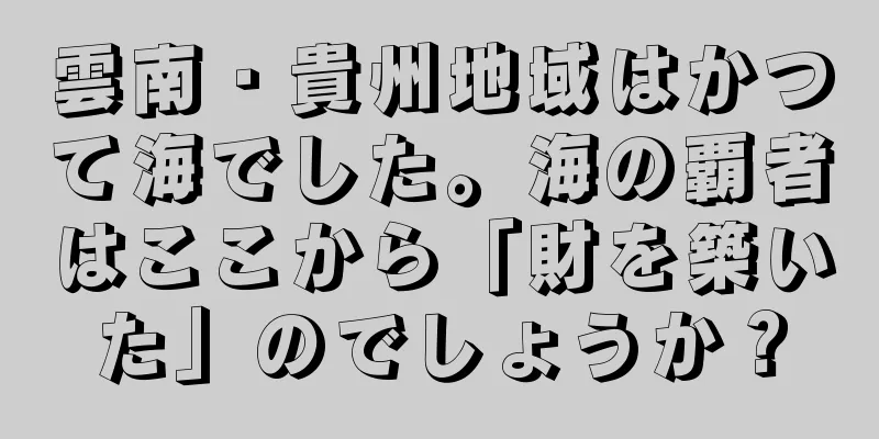 雲南・貴州地域はかつて海でした。海の覇者はここから「財を築いた」のでしょうか？