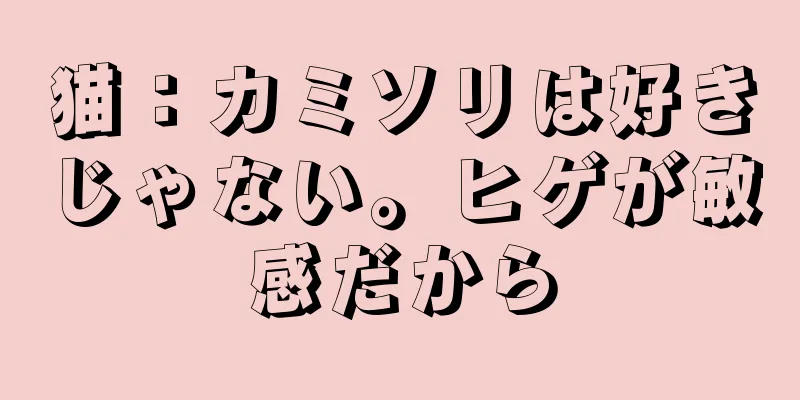 猫：カミソリは好きじゃない。ヒゲが敏感だから