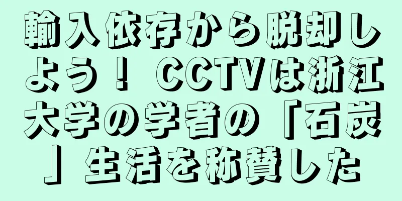 輸入依存から脱却しよう！ CCTVは浙江大学の学者の「石炭」生活を称賛した