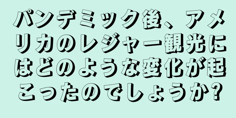 パンデミック後、アメリカのレジャー観光にはどのような変化が起こったのでしょうか?