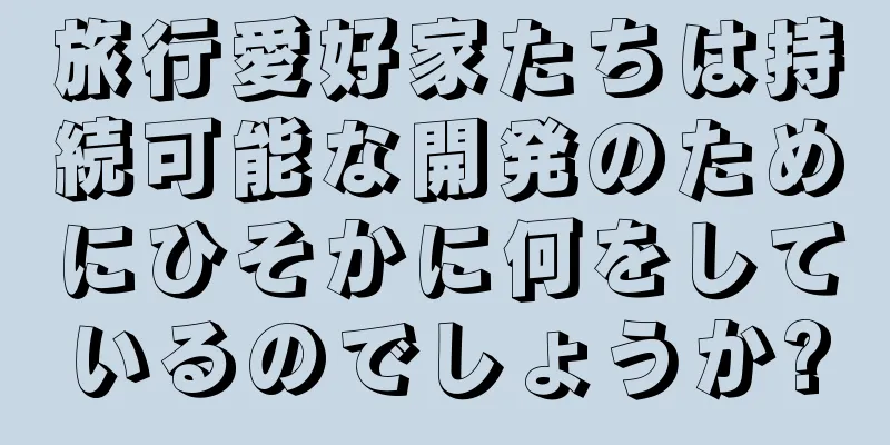 旅行愛好家たちは持続可能な開発のためにひそかに何をしているのでしょうか?