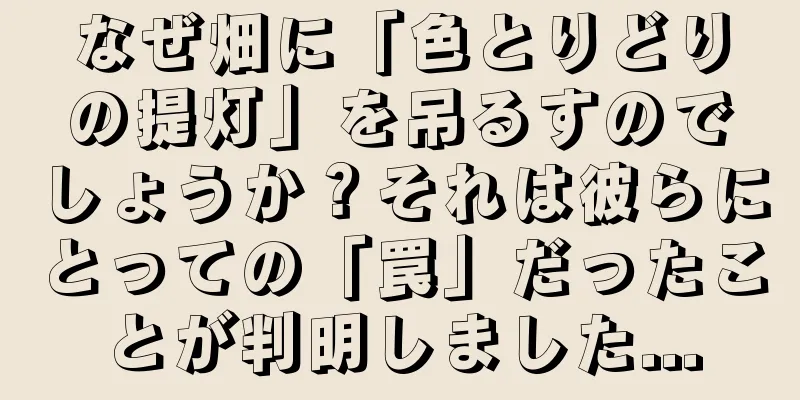 なぜ畑に「色とりどりの提灯」を吊るすのでしょうか？それは彼らにとっての「罠」だったことが判明しました...