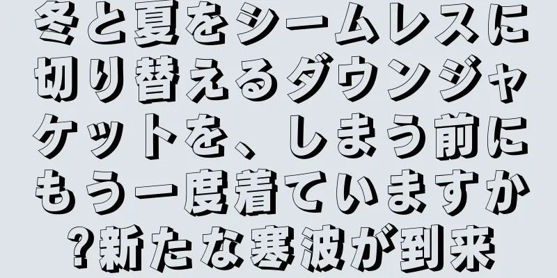 冬と夏をシームレスに切り替えるダウンジャケットを、しまう前にもう一度着ていますか?新たな寒波が到来
