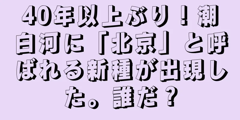 40年以上ぶり！潮白河に「北京」と呼ばれる新種が出現した。誰だ？