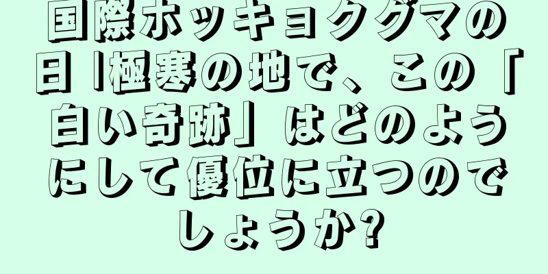 国際ホッキョクグマの日 |極寒の地で、この「白い奇跡」はどのようにして優位に立つのでしょうか?