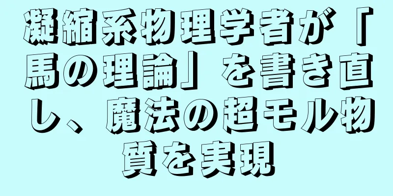 凝縮系物理学者が「馬の理論」を書き直し、魔法の超モル物質を実現