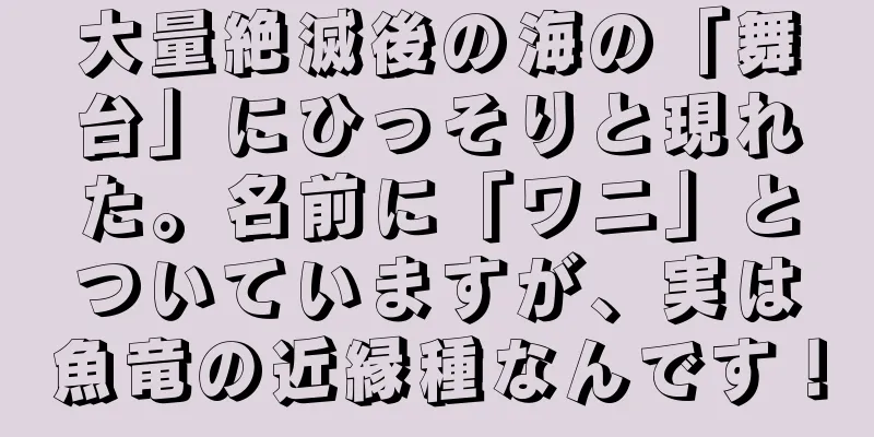 大量絶滅後の海の「舞台」にひっそりと現れた。名前に「ワニ」とついていますが、実は魚竜の近縁種なんです！