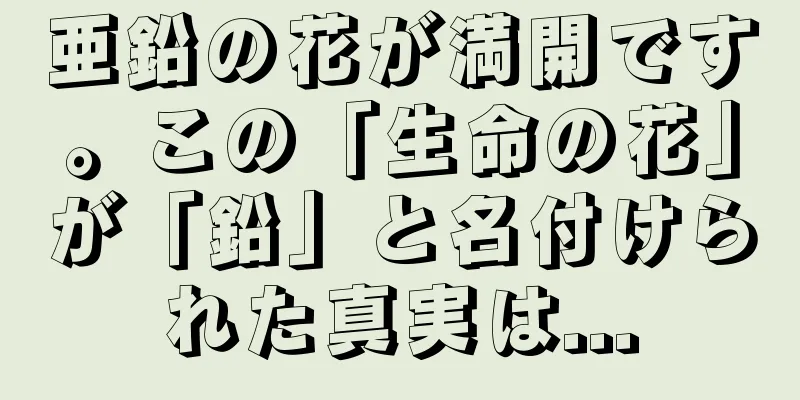 亜鉛の花が満開です。この「生命の花」が「鉛」と名付けられた真実は...
