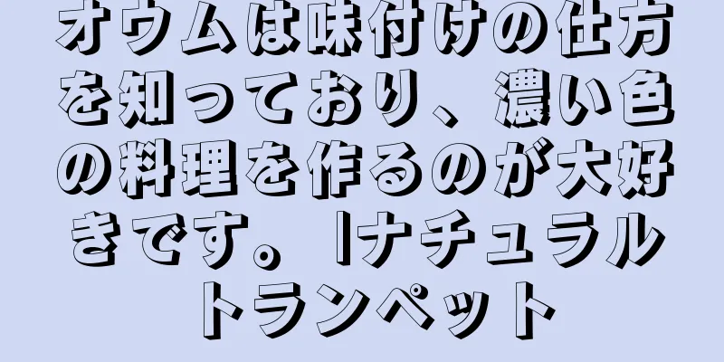 オウムは味付けの仕方を知っており、濃い色の料理を作るのが大好きです。 |ナチュラルトランペット