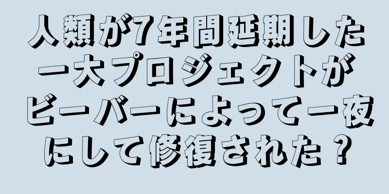 人類が7年間延期した一大プロジェクトがビーバーによって一夜にして修復された？