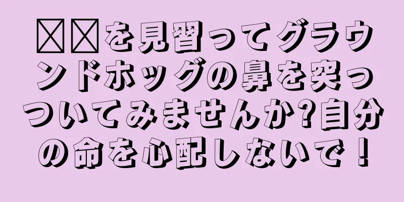 哪吒を見習ってグラウンドホッグの鼻を突っついてみませんか?自分の命を心配しないで！