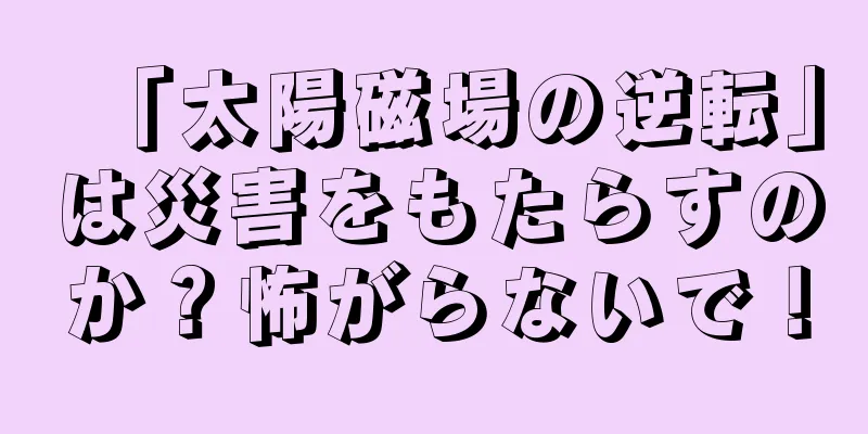 「太陽磁場の逆転」は災害をもたらすのか？怖がらないで！
