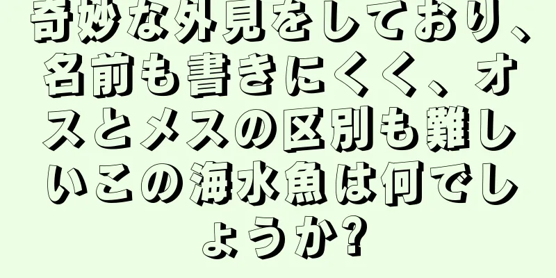 奇妙な外見をしており、名前も書きにくく、オスとメスの区別も難しいこの海水魚は何でしょうか?