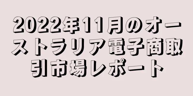 2022年11月のオーストラリア電子商取引市場レポート