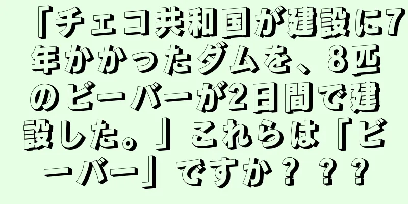 「チェコ共和国が建設に7年かかったダムを、8匹のビーバーが2日間で建設した。」これらは「ビーバー」ですか？ ? ?