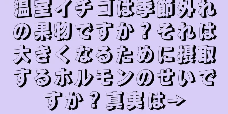 温室イチゴは季節外れの果物ですか？それは大きくなるために摂取するホルモンのせいですか？真実は→