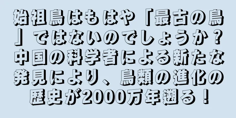 始祖鳥はもはや「最古の鳥」ではないのでしょうか？中国の科学者による新たな発見により、鳥類の進化の歴史が2000万年遡る！