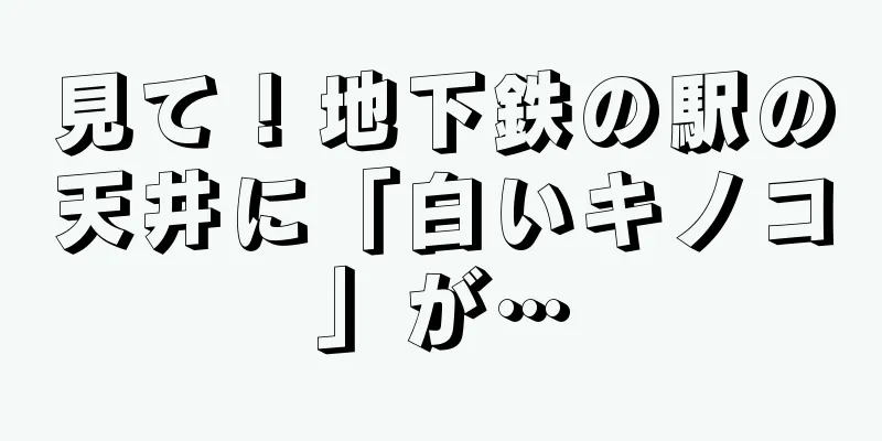 見て！地下鉄の駅の天井に「白いキノコ」が…