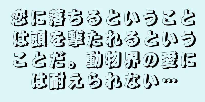 恋に落ちるということは頭を撃たれるということだ。動物界の愛には耐えられない…
