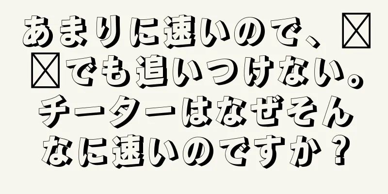 あまりに速いので、哪吒でも追いつけない。チーターはなぜそんなに速いのですか？