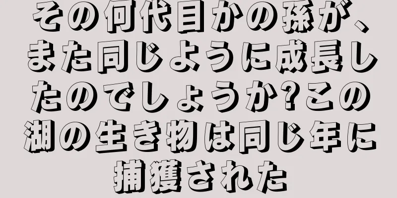 その何代目かの孫が、また同じように成長したのでしょうか?この湖の生き物は同じ年に捕獲された
