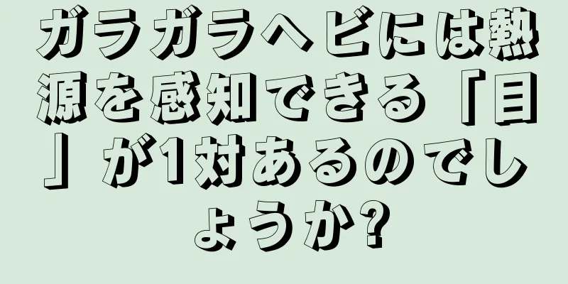 ガラガラヘビには熱源を感知できる「目」が1対あるのでしょうか?