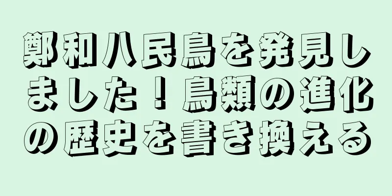 鄭和八民鳥を発見しました！鳥類の進化の歴史を書き換える