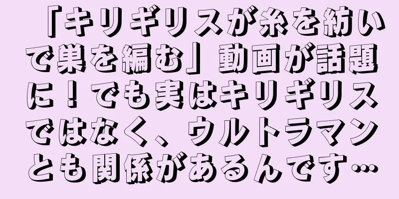 「キリギリスが糸を紡いで巣を編む」動画が話題に！でも実はキリギリスではなく、ウルトラマンとも関係があるんです…