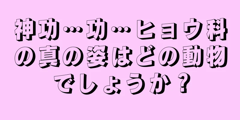 神功…功…ヒョウ科の真の姿はどの動物でしょうか？