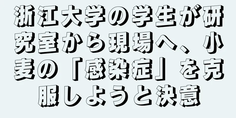 浙江大学の学生が研究室から現場へ、小麦の「感染症」を克服しようと決意