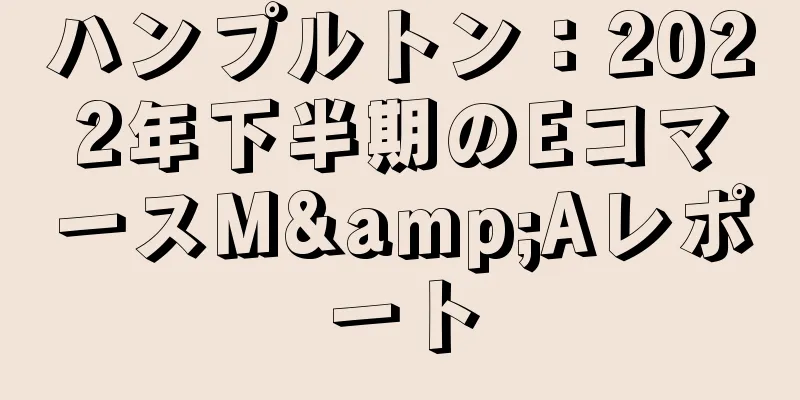 ハンプルトン：2022年下半期のEコマースM&Aレポート