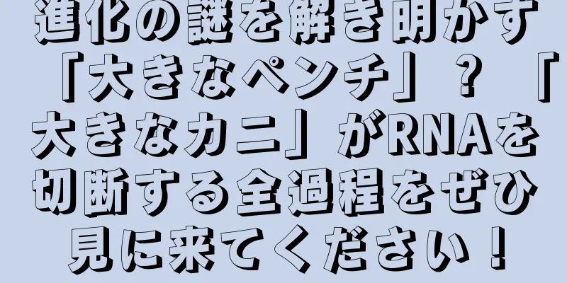 進化の謎を解き明かす「大きなペンチ」？ 「大きなカニ」がRNAを切断する全過程をぜひ見に来てください！