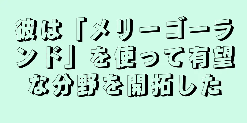 彼は「メリーゴーランド」を使って有望な分野を開拓した