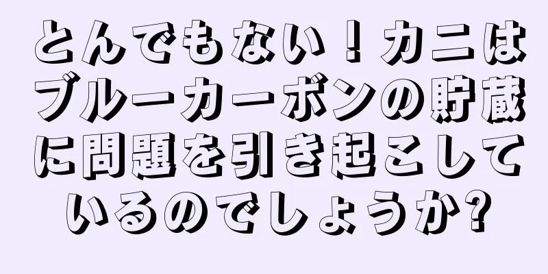 とんでもない！カニはブルーカーボンの貯蔵に問題を引き起こしているのでしょうか?
