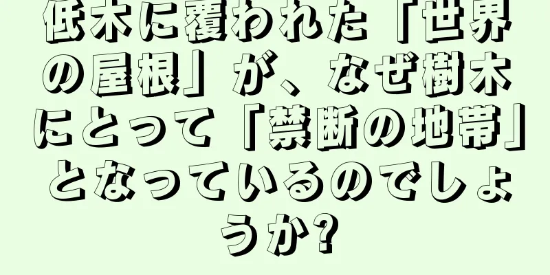 低木に覆われた「世界の屋根」が、なぜ樹木にとって「禁断の地帯」となっているのでしょうか?
