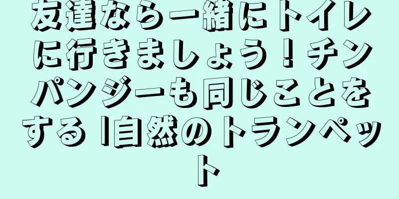 友達なら一緒にトイレに行きましょう！チンパンジーも同じことをする |自然のトランペット