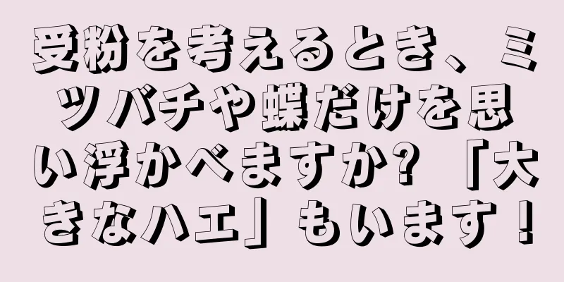 受粉を考えるとき、ミツバチや蝶だけを思い浮かべますか? 「大きなハエ」もいます！