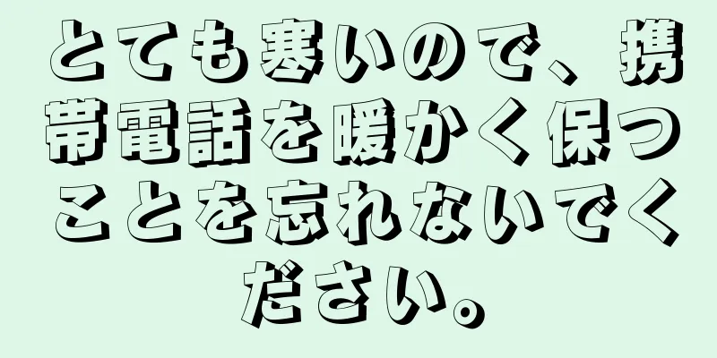とても寒いので、携帯電話を暖かく保つことを忘れないでください。