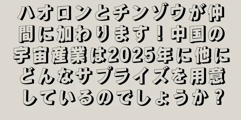 ハオロンとチンゾウが仲間に加わります！中国の宇宙産業は2025年に他にどんなサプライズを用意しているのでしょうか？