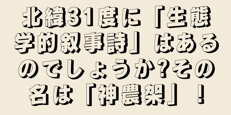北緯31度に「生態学的叙事詩」はあるのでしょうか?その名は「神農架」！