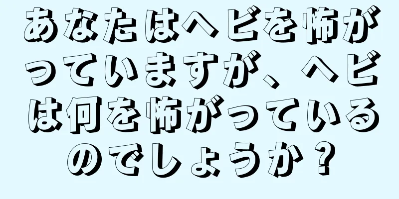 あなたはヘビを怖がっていますが、ヘビは何を怖がっているのでしょうか？
