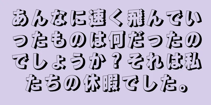 あんなに速く飛んでいったものは何だったのでしょうか？それは私たちの休暇でした。
