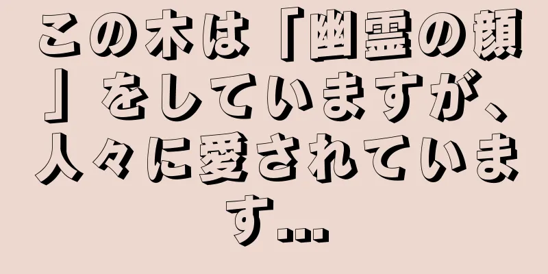この木は「幽霊の顔」をしていますが、人々に愛されています...