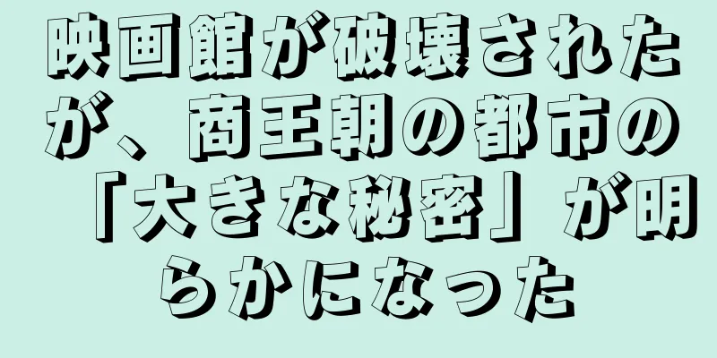 映画館が破壊されたが、商王朝の都市の「大きな秘密」が明らかになった