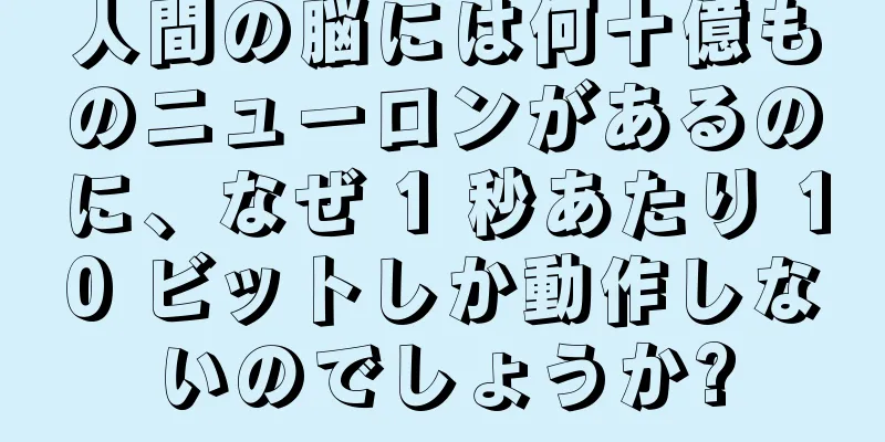 人間の脳には何十億ものニューロンがあるのに、なぜ 1 秒あたり 10 ビットしか動作しないのでしょうか?