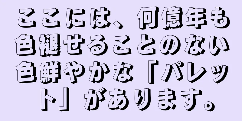 ここには、何億年も色褪せることのない色鮮やかな「パレット」があります。