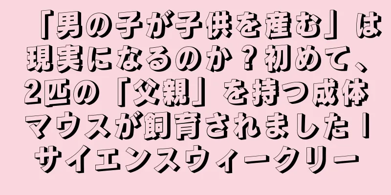 「男の子が子供を産む」は現実になるのか？初めて、2匹の「父親」を持つ成体マウスが飼育されました |サイエンスウィークリー