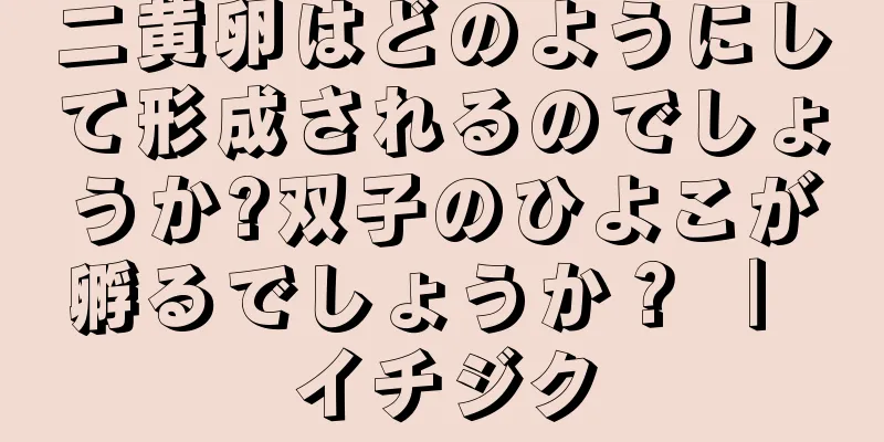 二黄卵はどのようにして形成されるのでしょうか?双子のひよこが孵るでしょうか？ ｜ イチジク